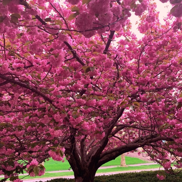 Meet your Posher, Catherine - Picture 6 of 7